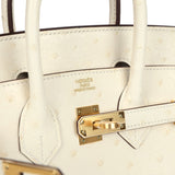 Hermes Birkin 25 Nata Ostrich Gold Hardware