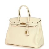 Hermes Birkin 35 Nata Clemence Gold Hardware
