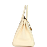 Hermes Birkin 35 Nata Clemence Gold Hardware