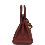 Hermes Birkin 25 Rouge H Togo Gold Hardware - Thumbnail View 3
