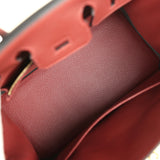 Hermes Birkin 25 Rouge H Togo Gold Hardware - Thumbnail View 8
