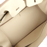 Hermes Birkin 25 Craie Togo Gold Hardware - Thumbnail View 8