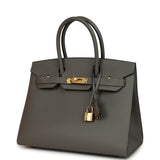 Hermes Birkin Sellier 30 Etain Epsom Gold Hardware