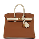 Hermes Special Order (HSS) Birkin 25 Gold and Craie Togo Gold Hardware