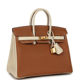 Hermes Special Order (HSS) Birkin 25 Gold and Craie Togo Gold Hardware