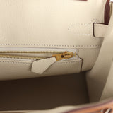 Hermes Special Order (HSS) Birkin 25 Gold and Craie Togo Gold Hardware