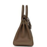 Hermes Birkin 25 Etoupe Togo Brushed Palladium Hardware