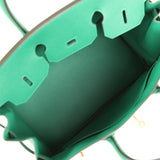 Pre-owned Hermes Birkin 35 Vert Vertigo Epsom Gold Hardware
