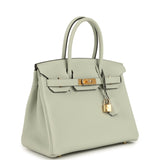 Hermes Birkin 30 Gris Neve Togo Gold Hardware