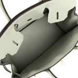 Hermes Birkin 30 Gris Neve Togo Gold Hardware