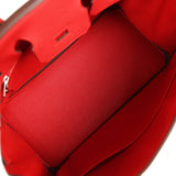 Hermes Birkin 25 Rouge Radieux Togo Palladium Hardware