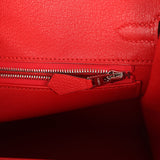 Hermes Birkin 25 Rouge Radieux Togo Palladium Hardware