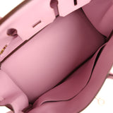 Hermes Birkin 25 Mauve Sylvestre Swift Rose Gold Hardware