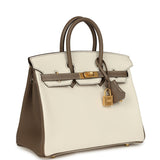 Hermes Special Order (HSS) Birkin 25 Nata and Etoupe Chevre Mysore Brushed Gold Hardware