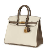 Hermes Special Order (HSS) Birkin 25 Nata and Etoupe Chevre Mysore Brushed Gold Hardware
