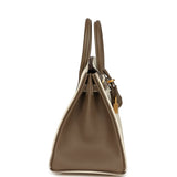 Hermes Special Order (HSS) Birkin 25 Nata and Etoupe Chevre Mysore Brushed Gold Hardware