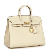 Hermes Birkin Sellier 25 Nata Epsom Gold Hardware