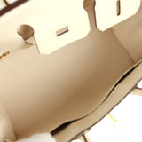 Hermes Birkin Sellier 25 Nata Epsom Gold Hardware