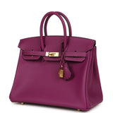 Hermes Birkin 25 Anemone Swift Gold Hardware