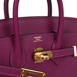 Hermes Birkin 25 Anemone Swift Gold Hardware