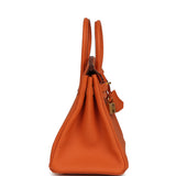Hermes Birkin 25 Orange Togo Gold Hardware