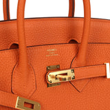Hermes Birkin 25 Orange Togo Gold Hardware
