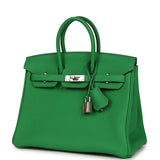 Hermes Birkin 25 Bambou Verso Togo Palladium Hardware