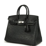 Hermes Birkin 25 Black Ostrich Palladium Hardware