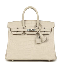 Hermes Birkin 25 Beton Matte Alligator Palladium Hardware