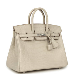Hermes Birkin 25 Beton Matte Alligator Palladium Hardware