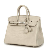 Hermes Birkin 25 Beton Matte Alligator Palladium Hardware - Thumbnail View 5
