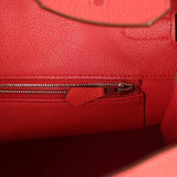 Hermes Birkin 35 Bougainvillea Clemence Palladium Hardware