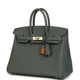 Hermes Birkin 25 Vert Amande Togo Gold Hardware
