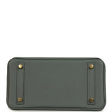 Hermes Birkin 25 Vert Amande Togo Gold Hardware
