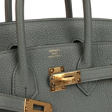 Hermes Birkin 25 Vert Amande Togo Gold Hardware