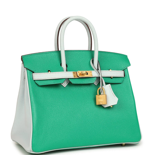 Hermes Special Order (HSS) Birkin 25 Bi-Color Menthe and Bleu Brume Chevre Mysore Brushed Gold