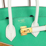 Hermes Special Order (HSS) Birkin 25 Bi-Color Menthe and Bleu Brume Chevre Mysore Brushed Gold Hardware - Thumbnail View 7