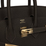 Hermes Birkin 25 Bai-Brun Togo Permabrass Hardware