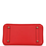 Hermes Birkin 25 Rouge De Coeur Jonathan Gold Hardware - Thumbnail View 6