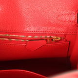 Hermes Birkin 25 Rouge De Coeur Jonathan Gold Hardware - Thumbnail View 9