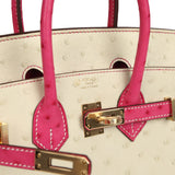 Hermes Special Order (HSS) Birkin 25 Rose Tyrien and Beton Ostrich Permabrass Hardware