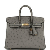 Hermes Birkin 25 Gris Meyer Ostrich Gold Hardware