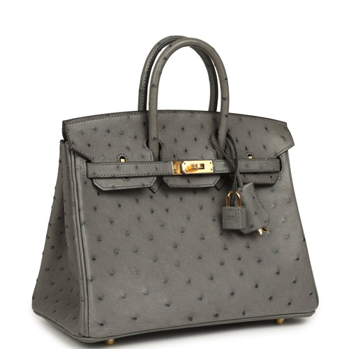 Hermes Birkin 25 Gris Meyer Ostrich Gold Hardware