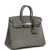 Hermes Birkin 25 Gris Meyer Ostrich Gold Hardware