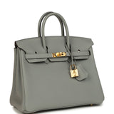 Hermes Birkin 25 Gris Mouette Togo Gold Hardware