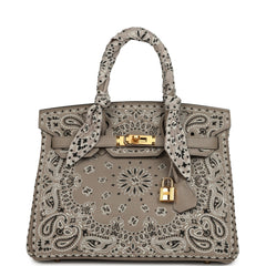 Pre-owned Hermes Jay Ahr Birkin 30 Gris Asphalte Epsom Bandana Embroidery Gold Hardware