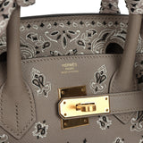 Pre-owned Hermes Jay Ahr Birkin 30 Gris Asphalte Epsom Bandana Embroidery Gold Hardware - Thumbnail View 7