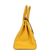 Hermes Special Order (HSS) Birkin 35 Soleil and Parchemin Togo Palladium Hardware - Thumbnail View 3