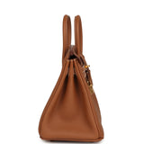 Hermes Birkin 25 Gold Togo Gold Hardware - Thumbnail View 4