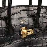 Hermes Birkin 25 Black Matte Alligator Gold Hardware